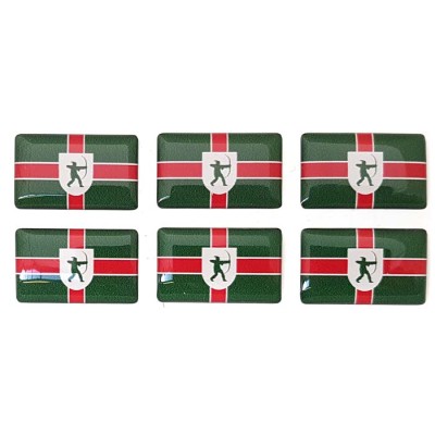 Nottinghamshire County Flag Sticker Decal Badge 3d Resin Gel Domed 6 Pack 26mm x 16mm